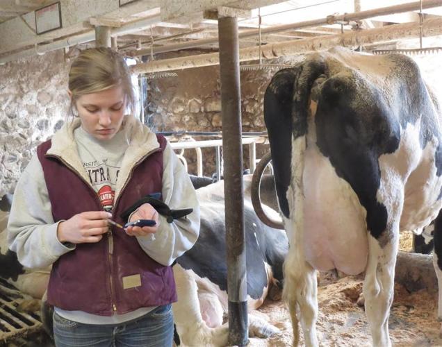 Erica Helmer in cow barn