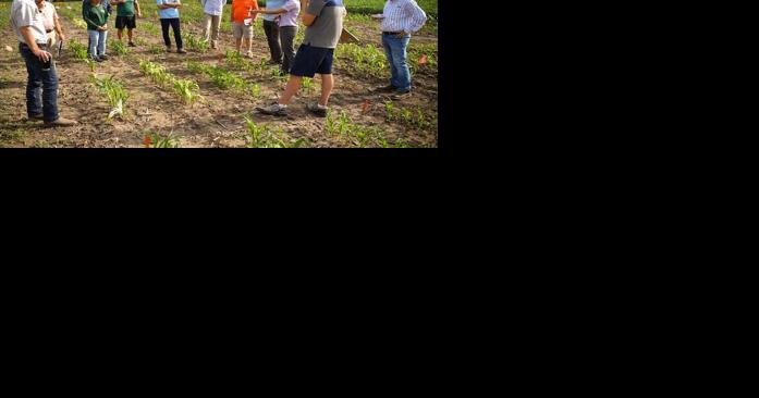 Genetic vulnerability to herbicide found - Vimarsana News
