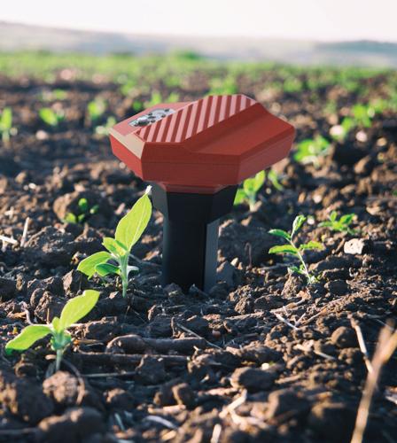 Teralytic_Probeinsoil