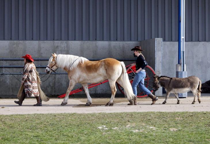 Midwest Horse Fair 09-20250411-53720.jpg