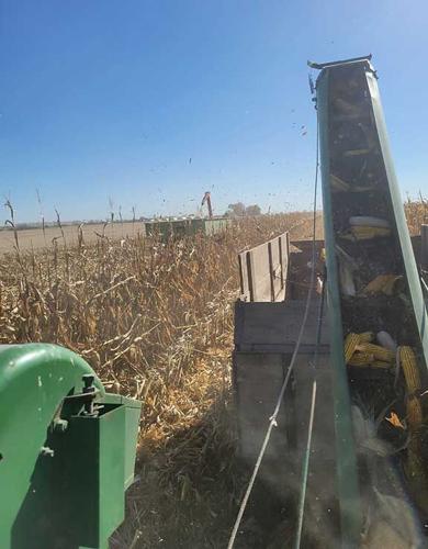 annual Pickin’ and Plowin’ Day