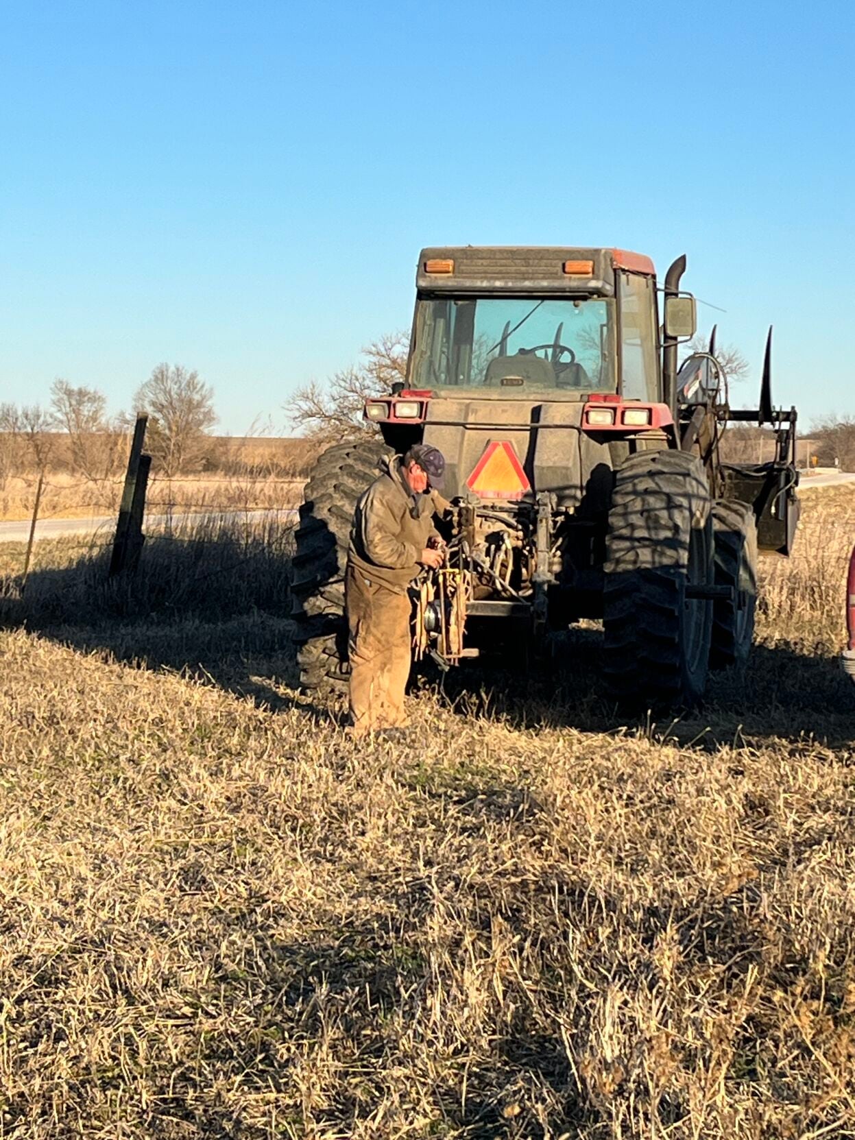 Down on the Farm 2.JPG