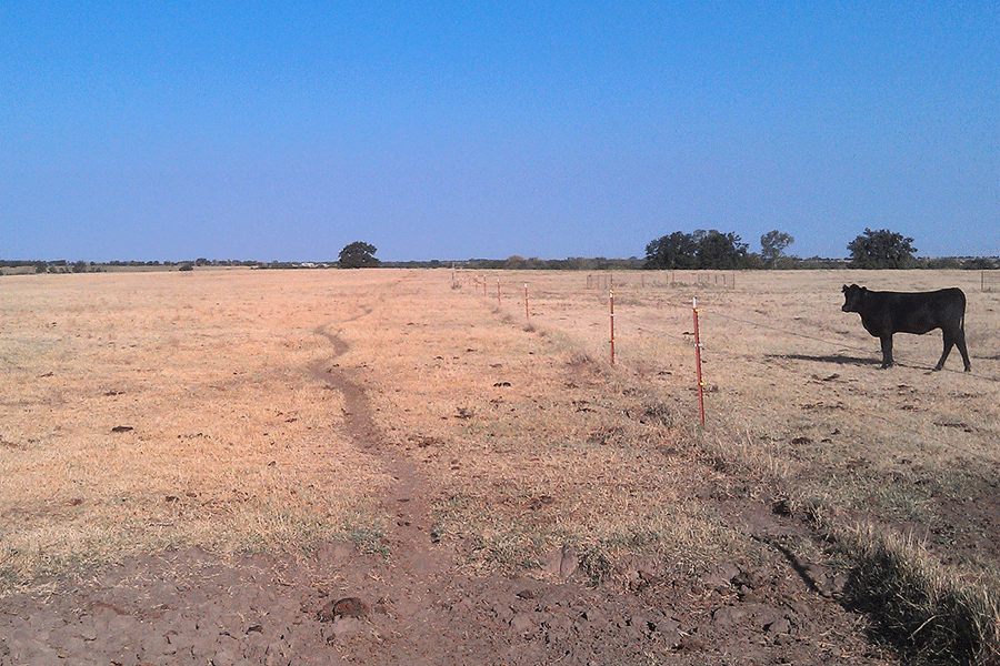 drought