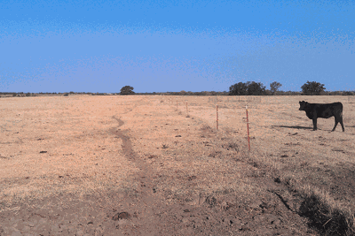 drought