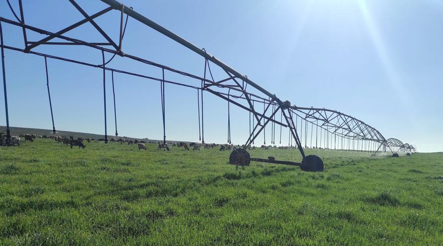 Irrigation pivots