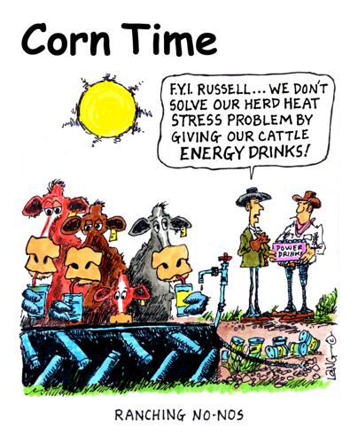 Corn Time by Bob Lang