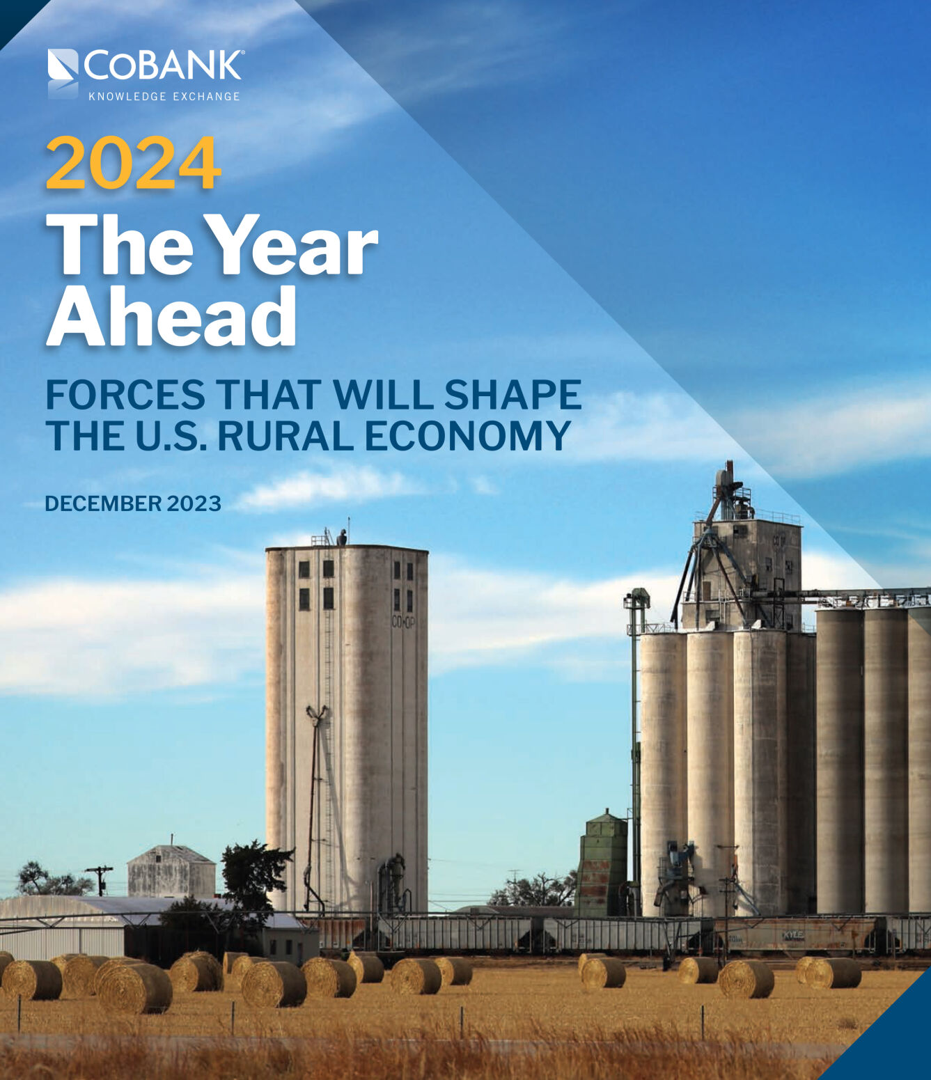 The year ahead