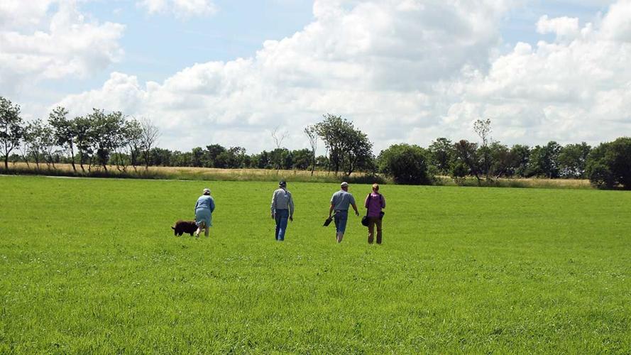Nielsen-family-walking-through-field