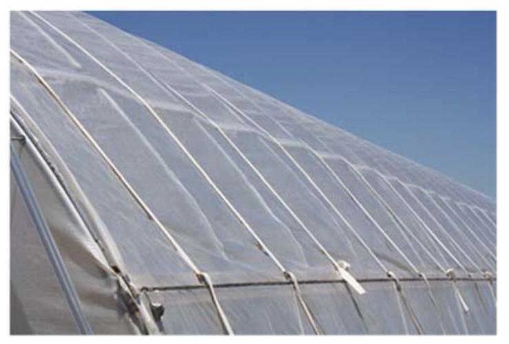 Inspect high-tunnel cover often