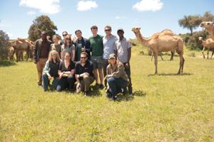 In Kenya: Docile cattle, wild predators and transportation