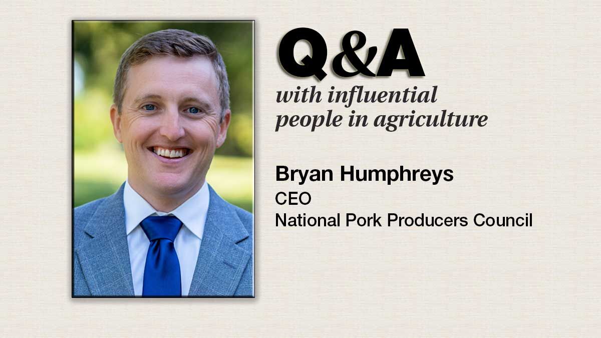 Q & A Bryan Humphreys