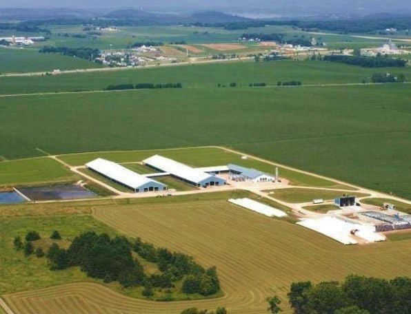 Blue Star Dairy Farm Arlington farm