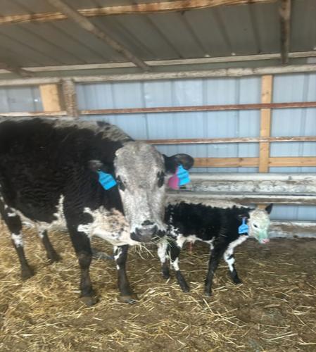 PPR Spickelmier 1.jpg