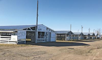4-H Livestock barns
