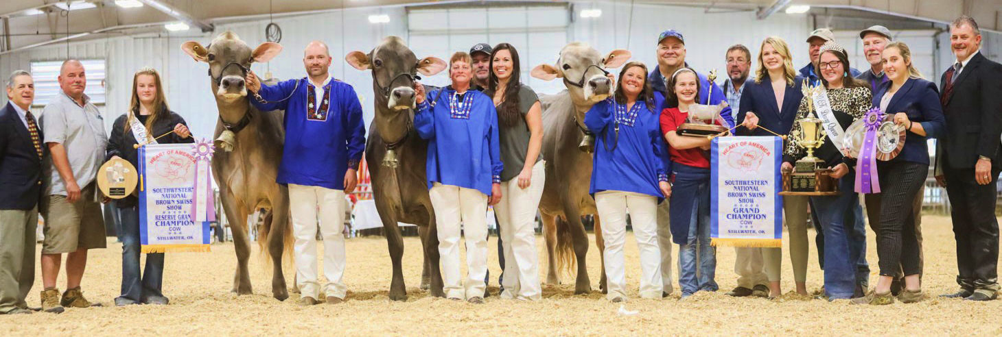 2020 Southwestern National Brown Swiss grand champion and reserve champion