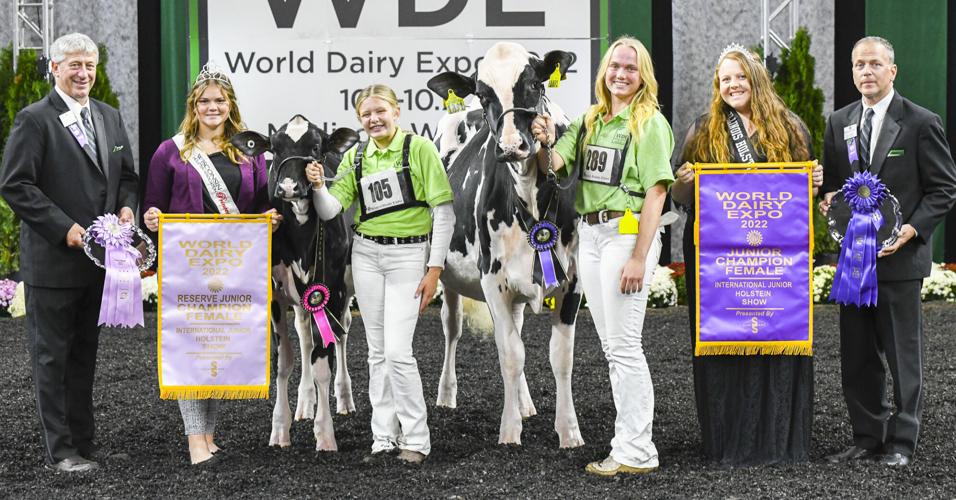 Junior champion and reserve junior champion of  2022 International Junior Holstein Show