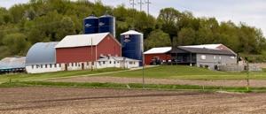 Hoyer Farms
