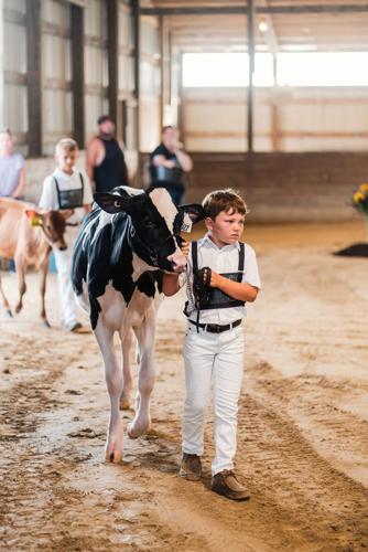 Jefferson County Fair