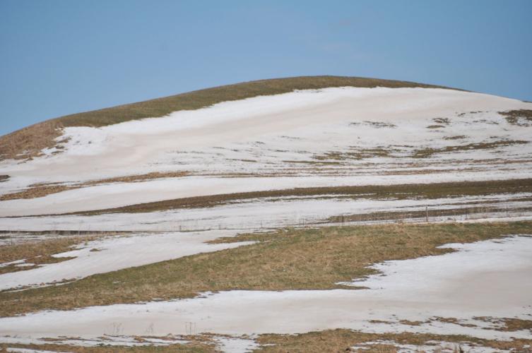 From the Fields: April 25 Wade Bulman