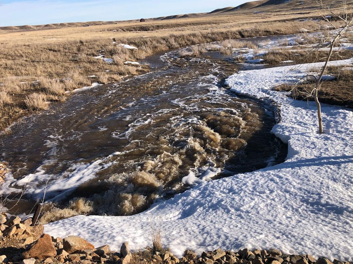 Robinsons counting down the days until spring calving