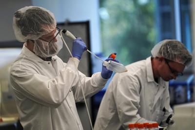 Scientists work