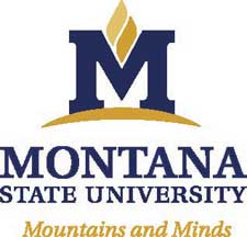 Montana State University chooses new logo