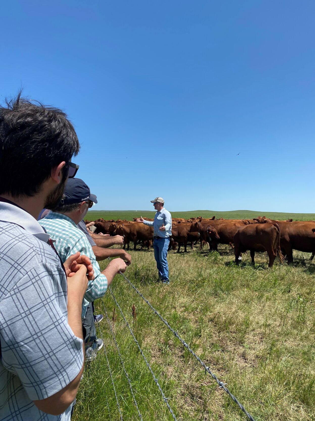 Kansas beef genetics trade 2.jpg