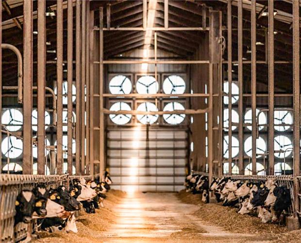 Dairy barn