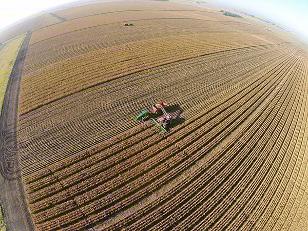 Seed production: It's the same, just different