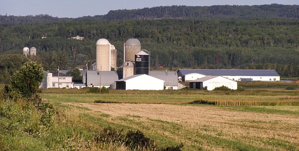 Farm
