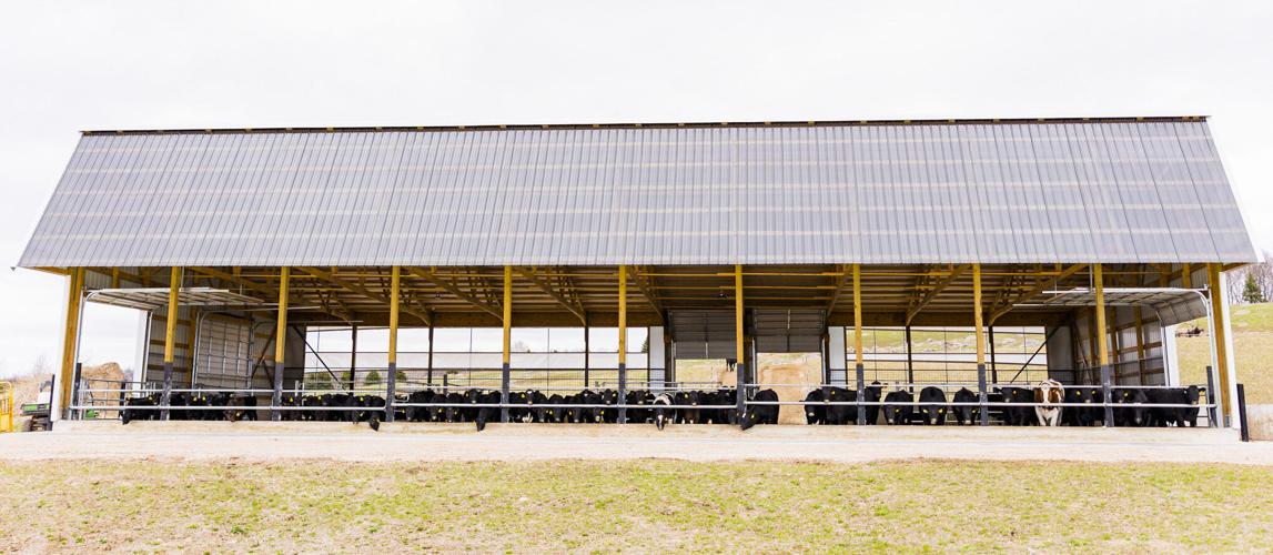 Beef barn at Whitetail Valley Beef