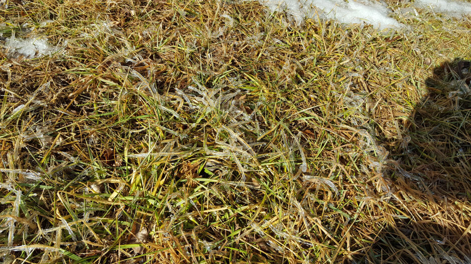 Frozen turf