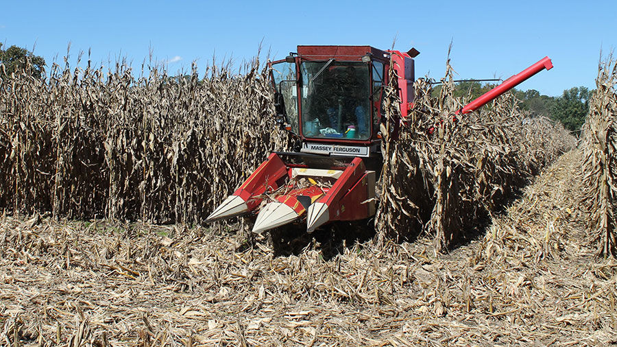 Missouri researcher harvests a corn test plot