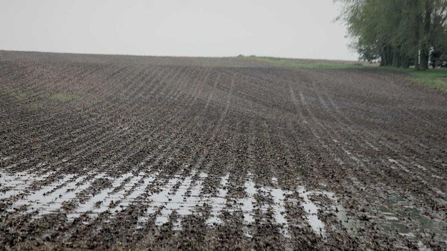 Wet field