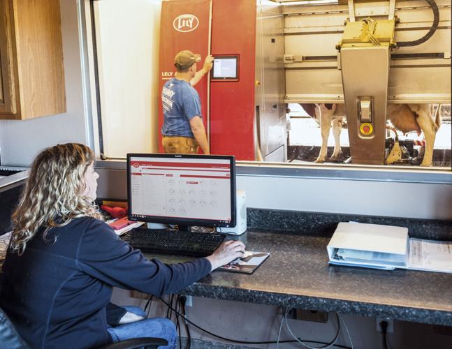 Julie Orchard studies milk-production data