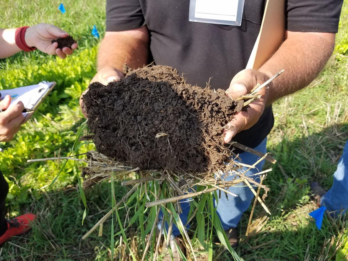 Soil health benefits 1.jpg