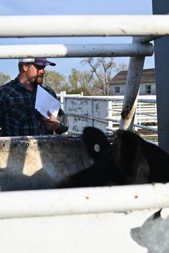 Transitioning Farm and Ranch 1.jpg