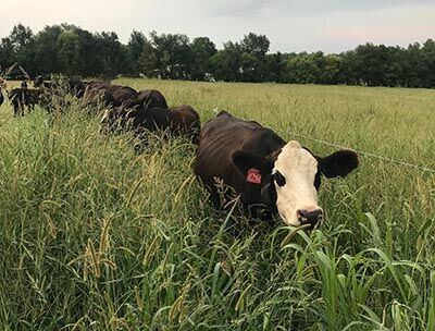 Grazing clinic 0603isu