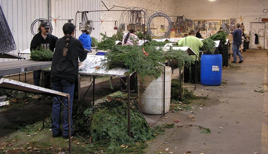 Bough factory