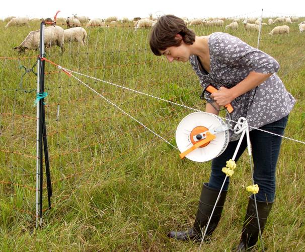 Lauren Langworthy adjusts wire