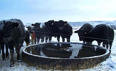 Giant Water Tanks From Tires Stay Durable Freeze Resistant In Cold Winters New Products Agupdate Com