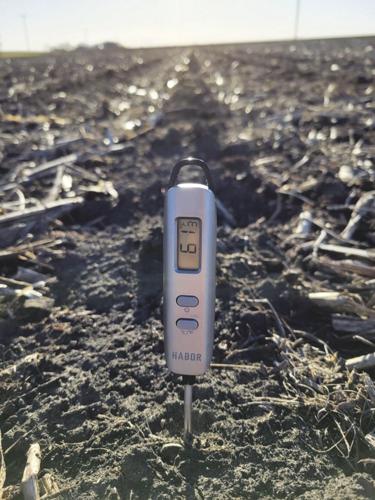 CW Tiffany 1 worked.jpg