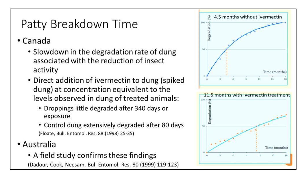 Patty Breakdown Time