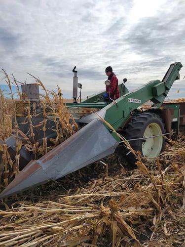 old fashioned plow