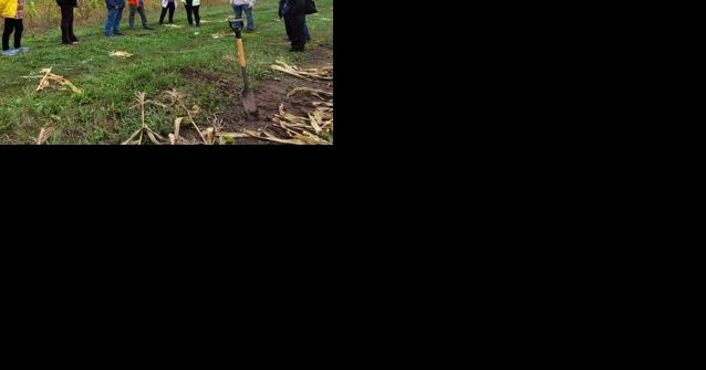 Collaborative considers cover crops - Vimarsana News