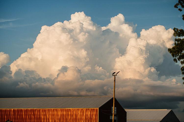 Jefferson County Fair
