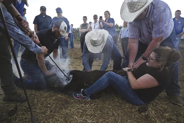 Melisa Column (1) - worked.jpg