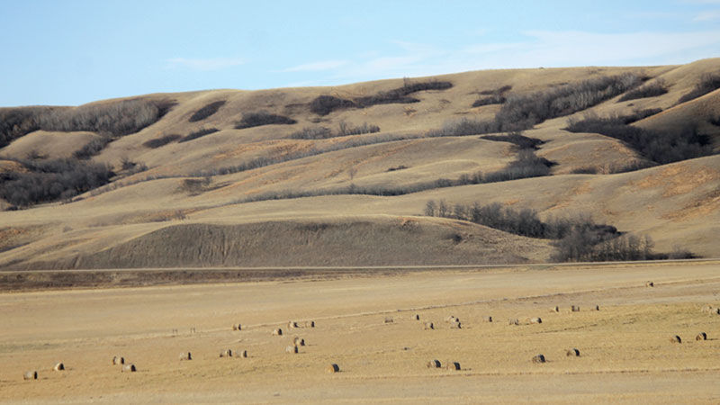 Saskatchewan Rolling hills