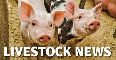 Livestock News logo 1