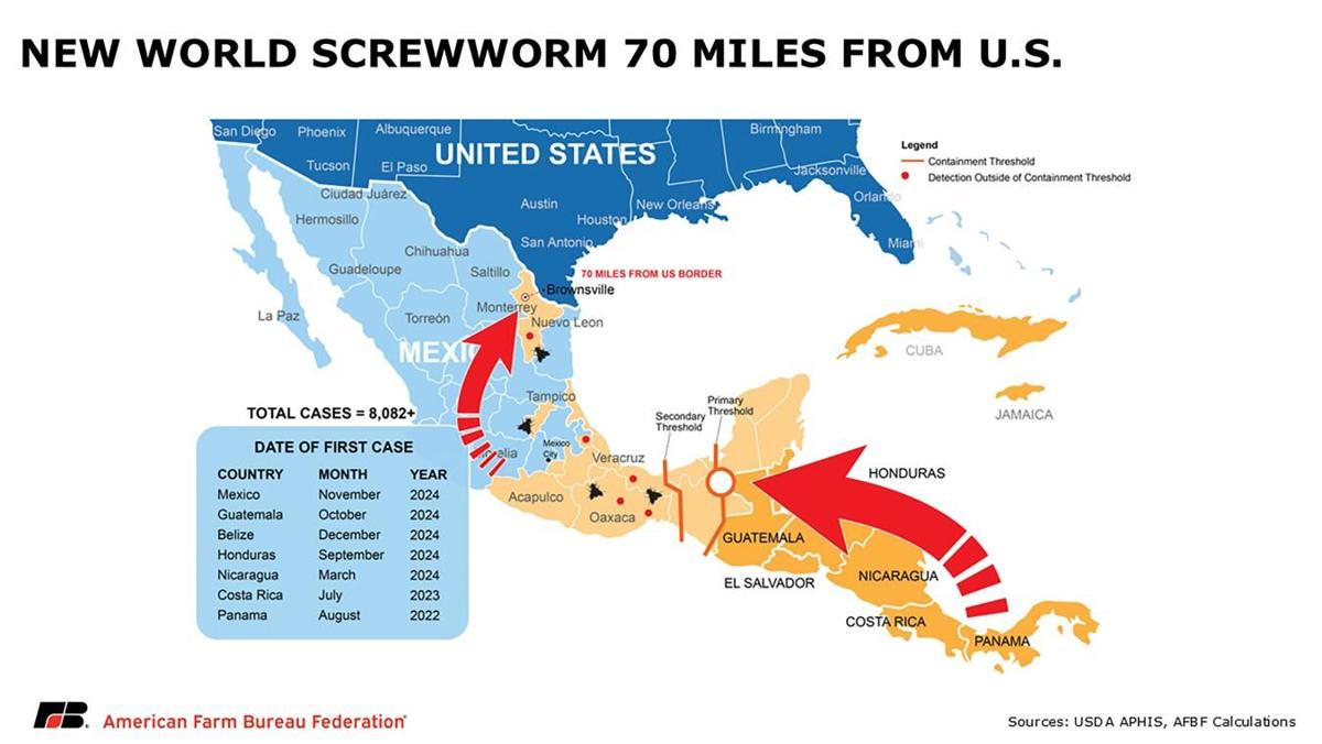 Screwworm
